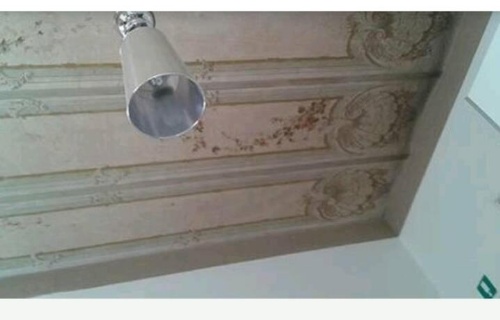 Gesu' e Maria Collection Suite image 14