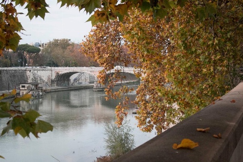 Gesu' e Maria Collection Suite image 4